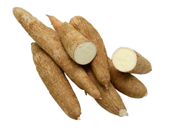 Manioc frais